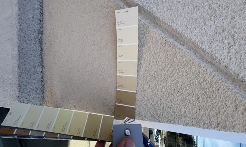 Color Match Before Painting