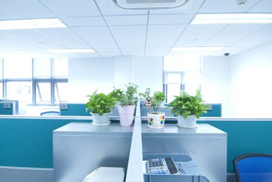 Office Interior Painting in Ashland, MA
