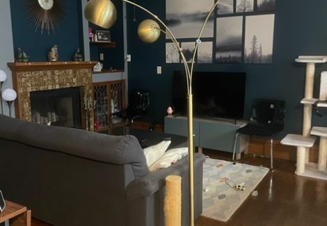 Family Room Interior