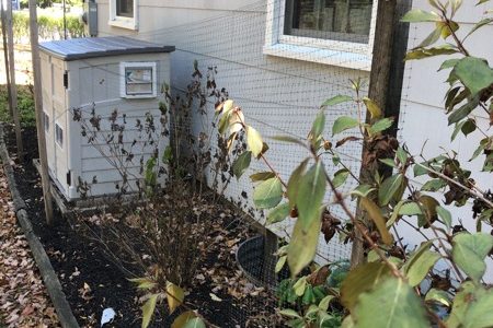 Side Exterior (Before)