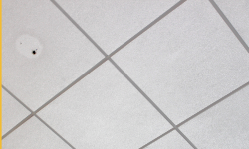 Ceiling Tile Removal and Installation