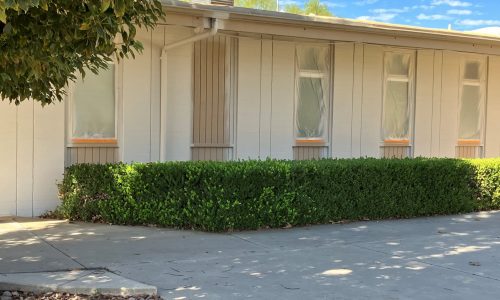 Windows Covered