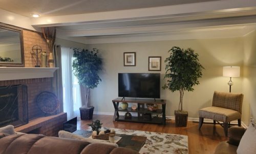 Interior House Painting