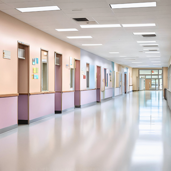 School Painting Services