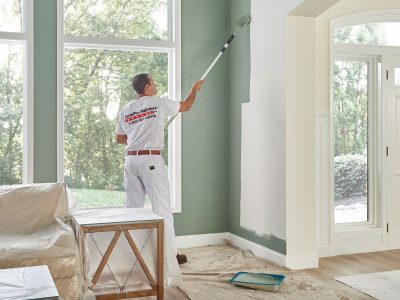 Step 4 - Apply New Paint