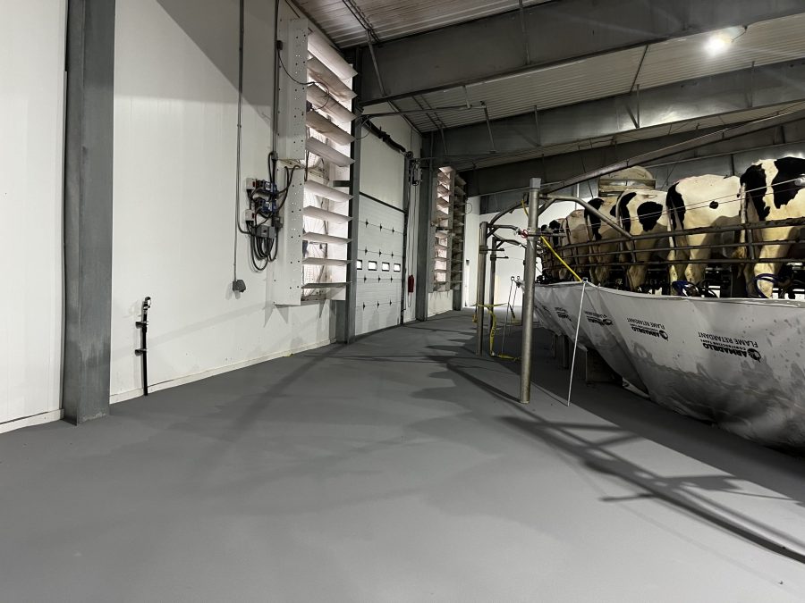 McCarty Farms Commercial Flooring Project after photo of flooring under cows Preview Image 1