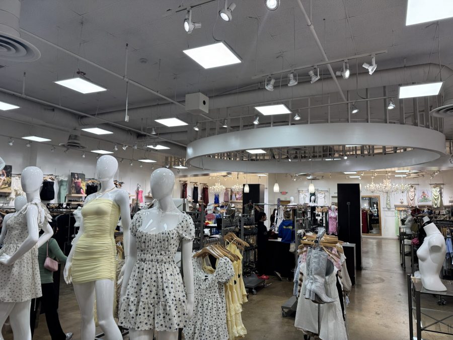  Preview Image 3