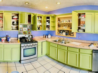 Vibrant Kitchen Cabinets