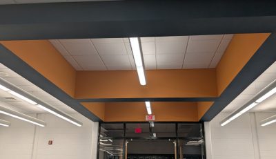 school library with burnt orange and dark teal accent paint