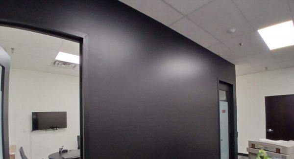 Commercial Interior Accent Wall Painting