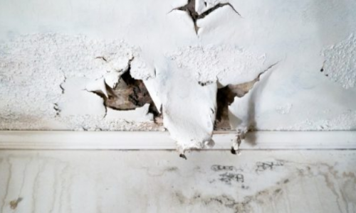 water damage and moisture to drywall