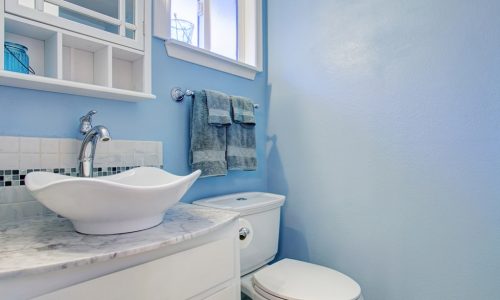 Blue Bathroom
