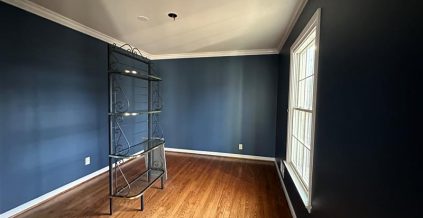 Home Office Repaint