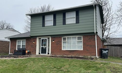 Vinyl Siding Painting