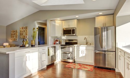Interior Kitchen Painting
