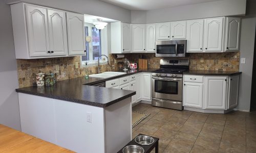 Kitchen Cabinet Project
