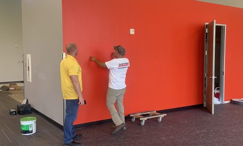 Project Inspection