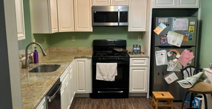 Kitchen Cabinet Painting