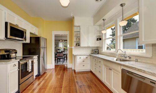 Kitchen Painting