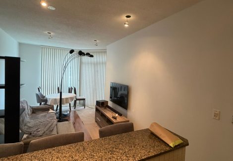Interior House Painting Project in North York, ON