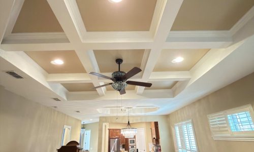 Ceiling Painting Project