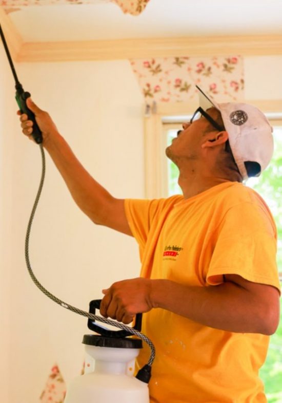 wallpaper removal vertical
