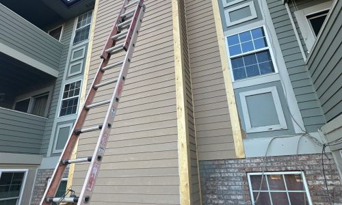 During - Multi-Unit Residential Building Exterior Painting & Staining Project