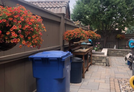 Medicine Hat, AB Residential Exterior Fence Painting