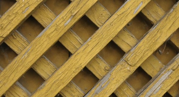 trellis