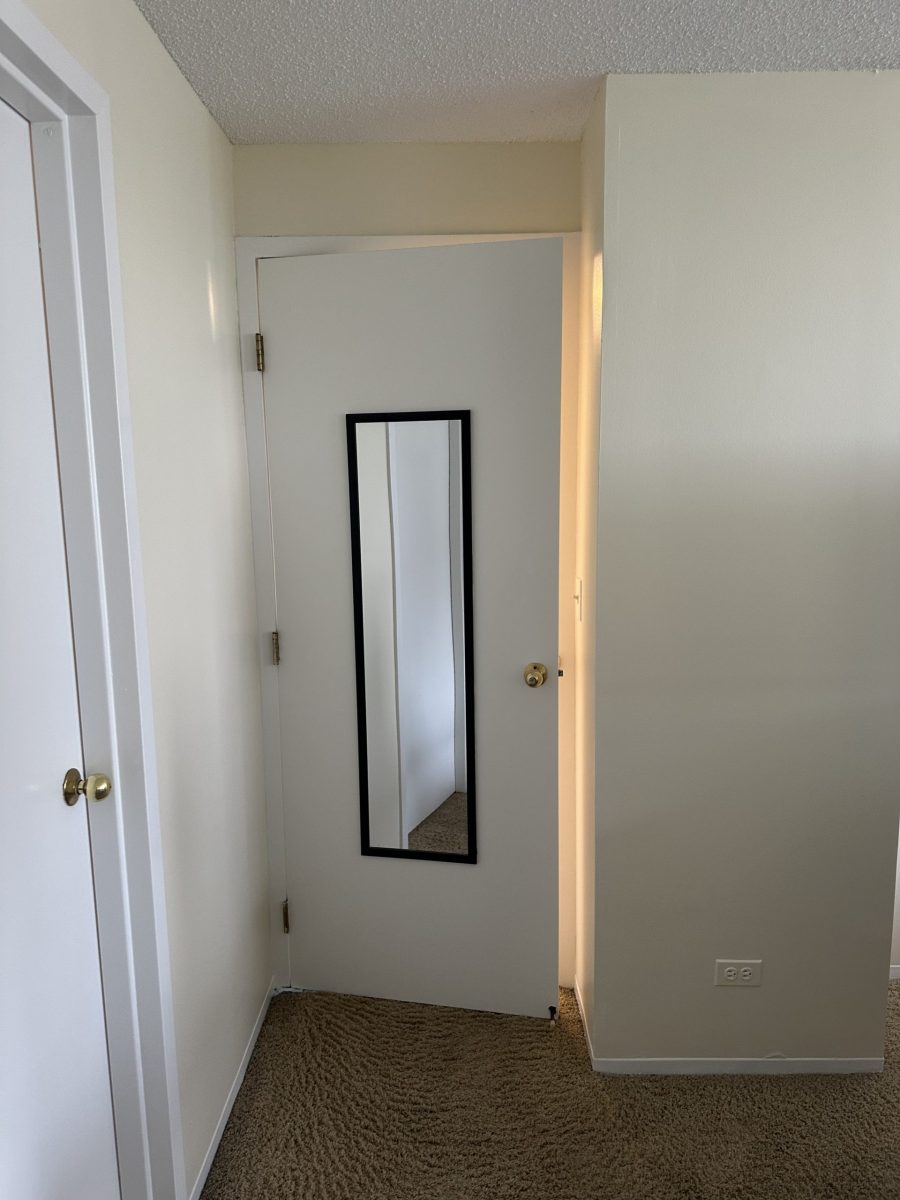 residential painters chicago il Preview Image 4
