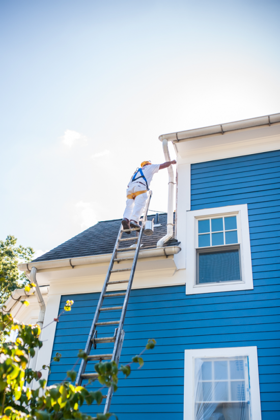 professional house painting exterior