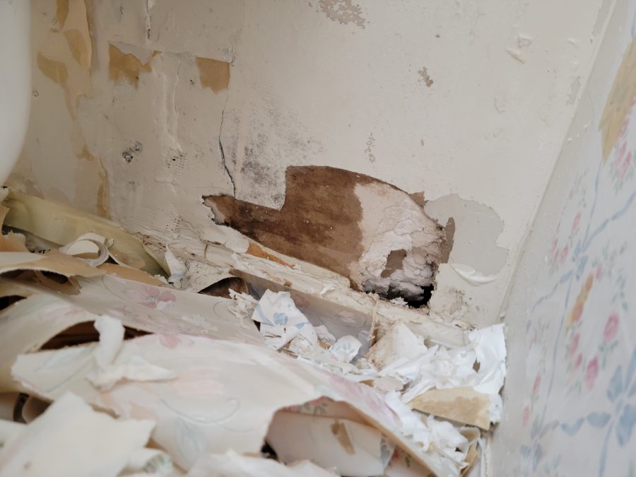 wall chipping paint before repairs Preview Image 5