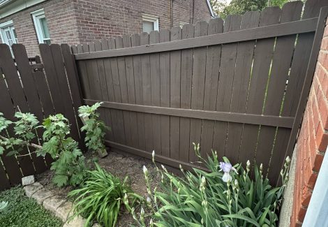 Exterior Fence Staining Project