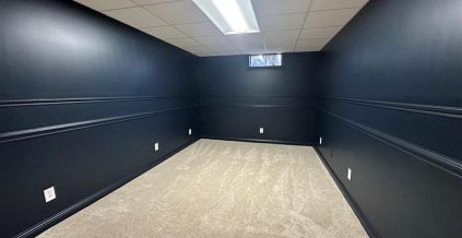 Basement Color Change