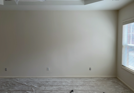 Wallpaper Removal