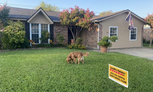 Residential Exterior Painting