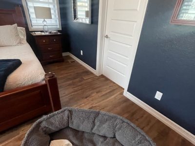 home interior with blue painted walls and white trim