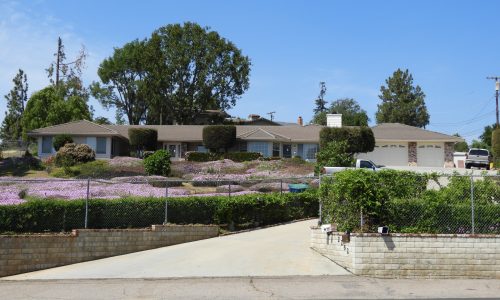 Exterior House Painting