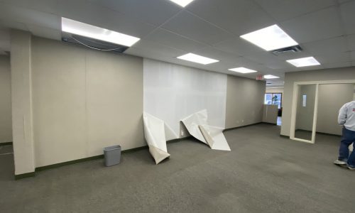 Wallpaper Removal