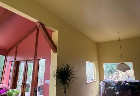 Colorful Interior Repainting