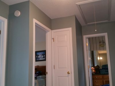 locust interior painter