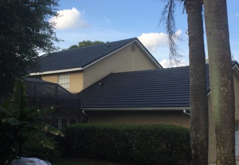 Roof Tile Painting