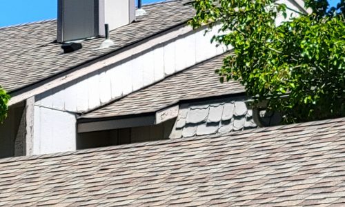 Wood Damage