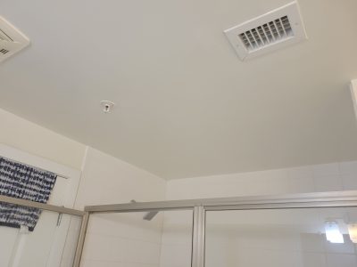 painted bathroom ceiling