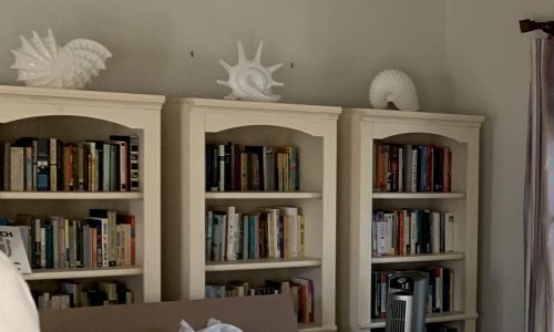 Painted book cases