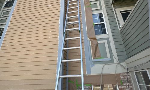During - Multi-Unit Residential Building Exterior Painting & Staining Project