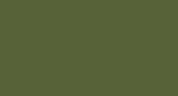 Paint Color Swatch
