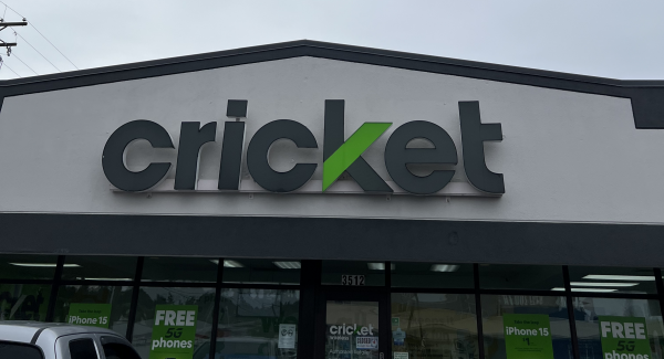 cricket exterior after painting update
