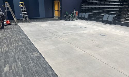 Bare Concrete - Fresh Slate