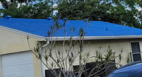 Painted Shingle Roof